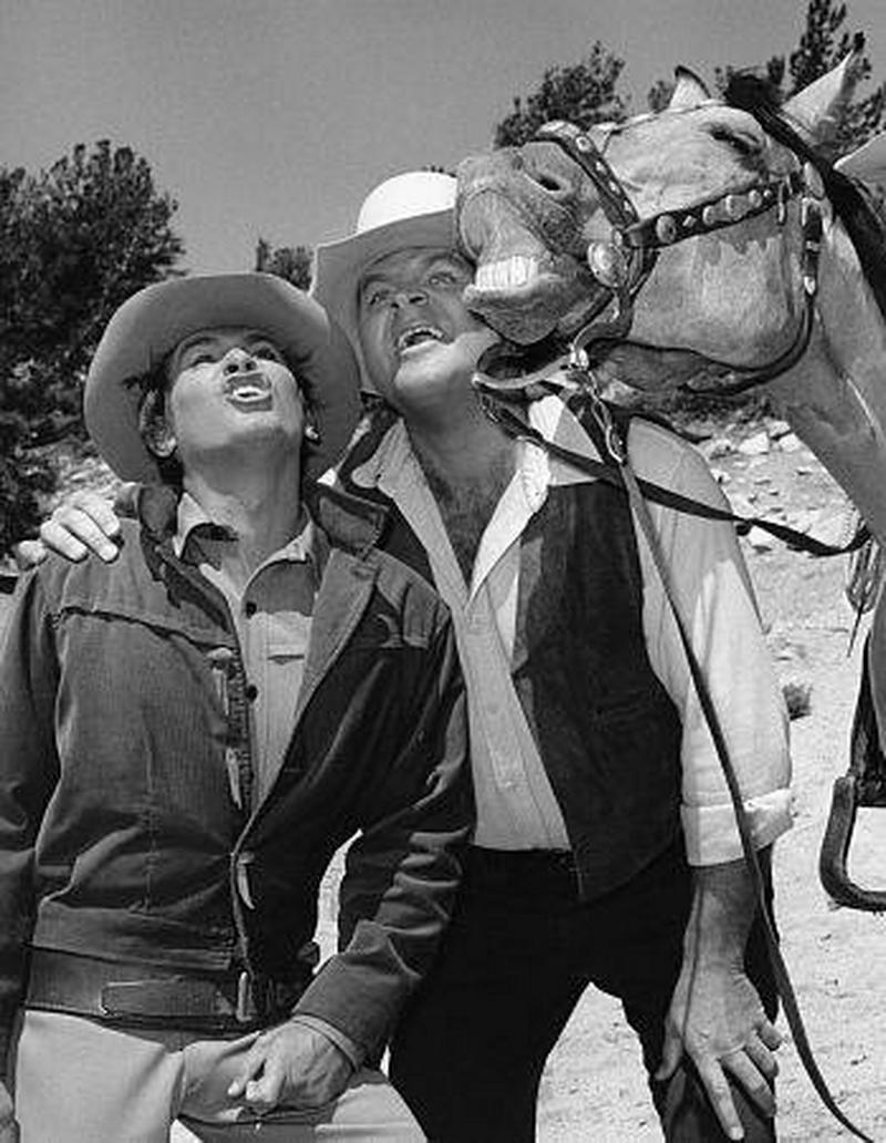 Blocking the horse. Двое на дороге 1967 фото к фильму.